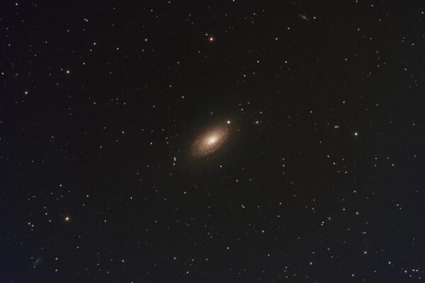 SUNFLOWER GALAXY NBRGBCombination