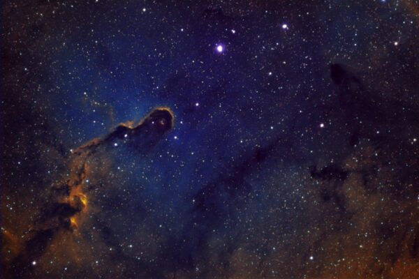 IC 1396 ELEPHANT TRUNK SHO