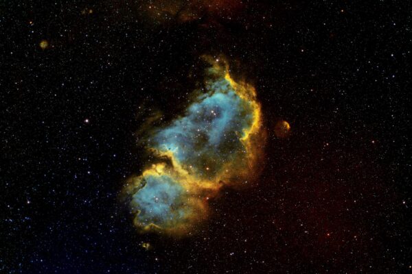 IC 1848 ALMA SHO