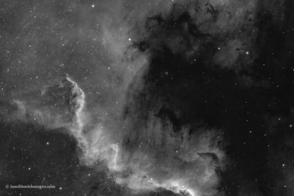 NGC 7000 BN DETALLE